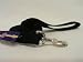 Pet Supplies : Slo Sng Loop Lead/Snp Bk 1