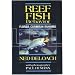 Reef Fish Behavior - Florida Caribbean Bahamas