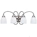 Sea Gull Lighting 44107-965 Monteclaire Collection Four-Light Vanity, Antique Brushed Nickel Finish with Etched White Alabaster Glass Sea Gull Lighting 44107-965 Monteclaire Collection Four-Light Vanity, Antique Brushed Nickel Finish with Etched White Alabaster Glass