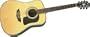 Washburn D30S Acoustic Guitar