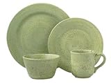 Pfaltzgraff Nuance of Sage 4-Piece Dinnerware Place Setting, Service for 1