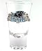Carolina Panthers Shotglass with Logo