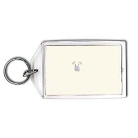 Access Point Keychain