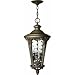 Hinkley Lighting 1878PZ Exterior Chain Pendant - Pearl Bronze Rotterdam Outdoor Traditional Lights