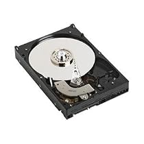 Western Digital WD3200KSRTL Caviar 320 GB SATA 3.5-Inch Hard Drive