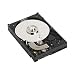 Western Digital WD3200KSRTL Caviar 320 GB SATA 3.5-Inch Hard Drive
