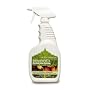 Seventh Generation 8KCWO32 Kitchen Cleaner in Citrus Scent - 32 Oz - Pack Of 8