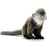 Leaf Monkey 7