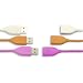 Flip Video USB Cables
