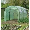 Walk-In Polytunnel