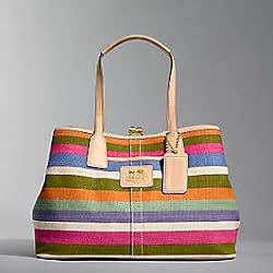 Coach Hamptons Stripe Frame Carryall Bag Tote 13487 Multi