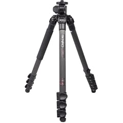 Benro Flexpod C1980F Versatile Dreibeinstativ Carbon schwarz