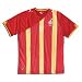 Puma World Cup 2010 Ghana Away Jersey
