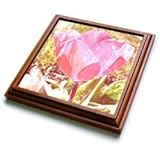 IMAGE OF Vintage Tulip Macro Easter Flowers Flower Photography - 8x8 Trivet With 6x6 Ceramic Tile