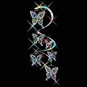 BUTTERFLY SPIRAL