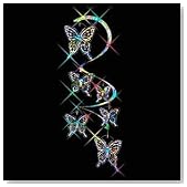 Butterfly Spiral