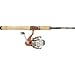 Quantum Catalyst PT/Cabela's Fish Eagle¬ XML Spinning Combo