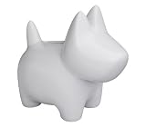 Cilio Doggy Bank