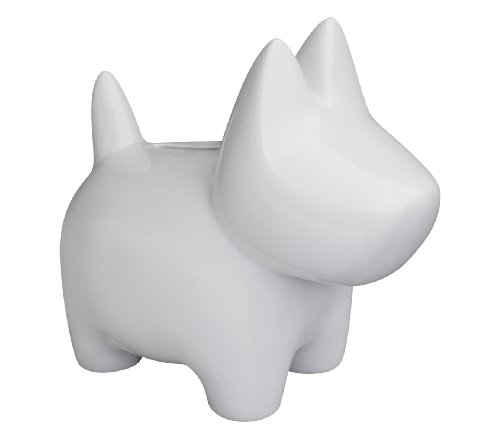 Cilio Doggy Bank