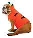 Paper Magic Group Zelda Pumpkin Pet Costume,Medium