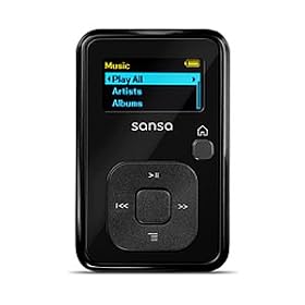 SanDisk Sansa Clip+ 4 GB MP3 Player (Black)