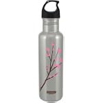 Vessel BLB-4661 27-Ounce Blossom Branch Bottle, Stainless
