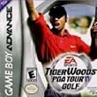 Tiger Woods PGA Tour Golf