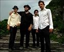 The Felice Brothers