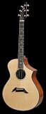 Breedlove Performance Fusion