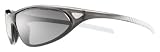 Nike V.Cadence Sunglasses - Stealth Faded Crystal Frame w/ Grey Max Polarized Lens - EV0187-075