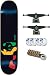 Enjoi Rasta Panda Complete Skateboard - 7.5 Resin 7 W/Mini Logo Wheels and Bearings