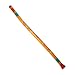 Didgeridoo PVC Hand Painted, Lizard
