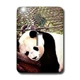 Wild animals - Panda Bear - Light Switch Covers - single toggle switch