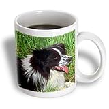 Dogs Border Collie - Border Collie - Mugs