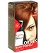 Revlon ColorSilk Root Perfect 10 Minute Root Touch-Up HairColor, Light Auburn # 5R - Kit