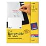 Avery Removable 3-1/3 x 4 Inch White ID Labels 150 Pack (6464)