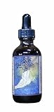 Wild Carrot Tincture 31NfKNABHtL. SL160 Wild Carrot Tincture