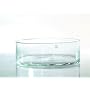 Glass bowl large