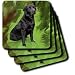 Black Labrador Retriever - Set Of 8 Coasters - Soft