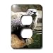 Wild animals - Otter - Light Switch Covers - 2 plug outlet cover
