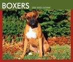 Boxers Box (BROWNT) 2008