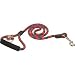 Choosing the Right Dog Leash 31NftU05urL. SL75 Choosing the Right Dog Leash