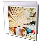 Sea Shells - Sea Shells - Greeting Cards-6 Greeting Cards with envelopes