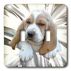 Dogs Basset Hound - Basset Hound Puppy - Light Switch Covers - double toggle switch