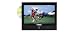 NAXA NTD-1351 13.3-Inch Widescreen HD LED TV with Built-in Digital TV Tuner and DVD Player
