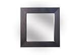 42 Square Accent or Bedroom Mirror by Diamond Sofa