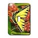 Butterflies - Tiger Swallow Tail - Light Switch Covers - single toggle switch
