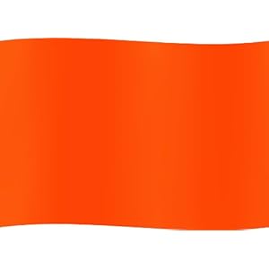 Seasense Water Ski Flag