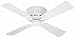 Tools & Hardware : Hunter 23866 Low Profile lll 42-Inch Four-Blade Ceiling Fan, White