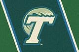Tulane Green Wave ( White ) 22 &acute; x 33 &acute; Team Door Mat - B0001H0NA4